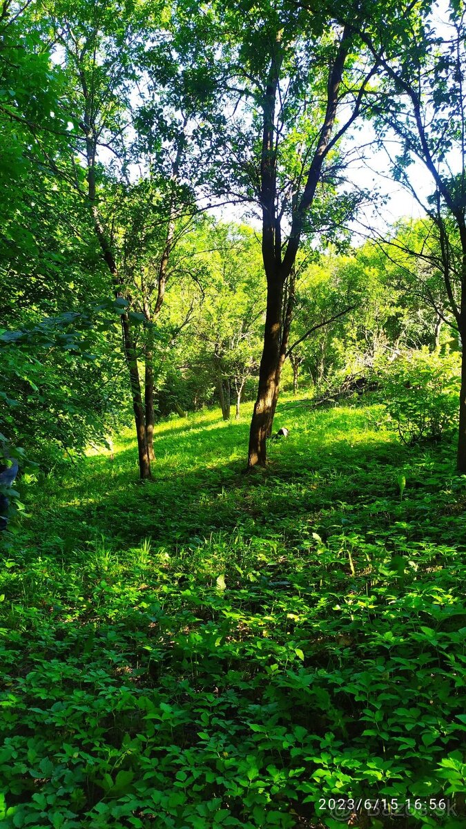 Pozemky v katastri Stará Myjava-len u nás v ponuke - 3