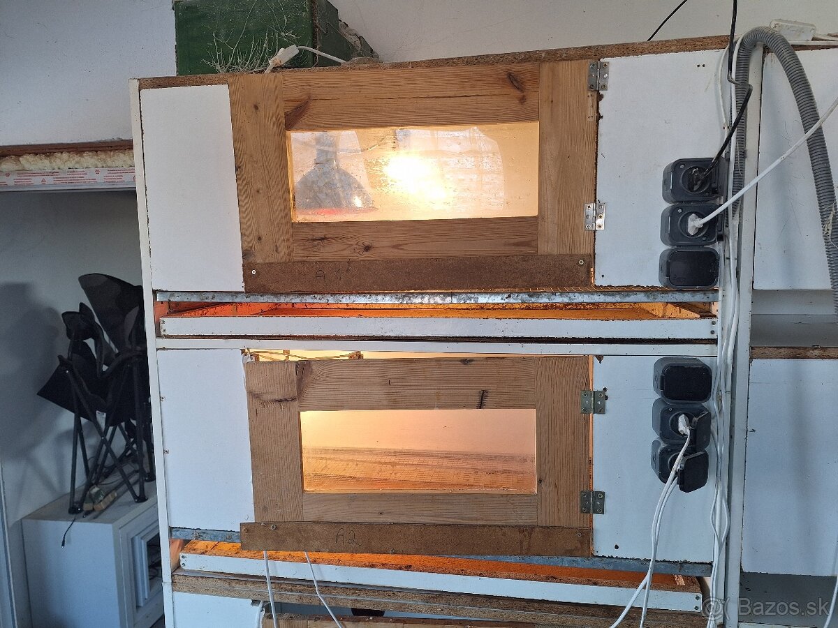 Odchovne, klietky, liaheň, prepelice japonské - 3