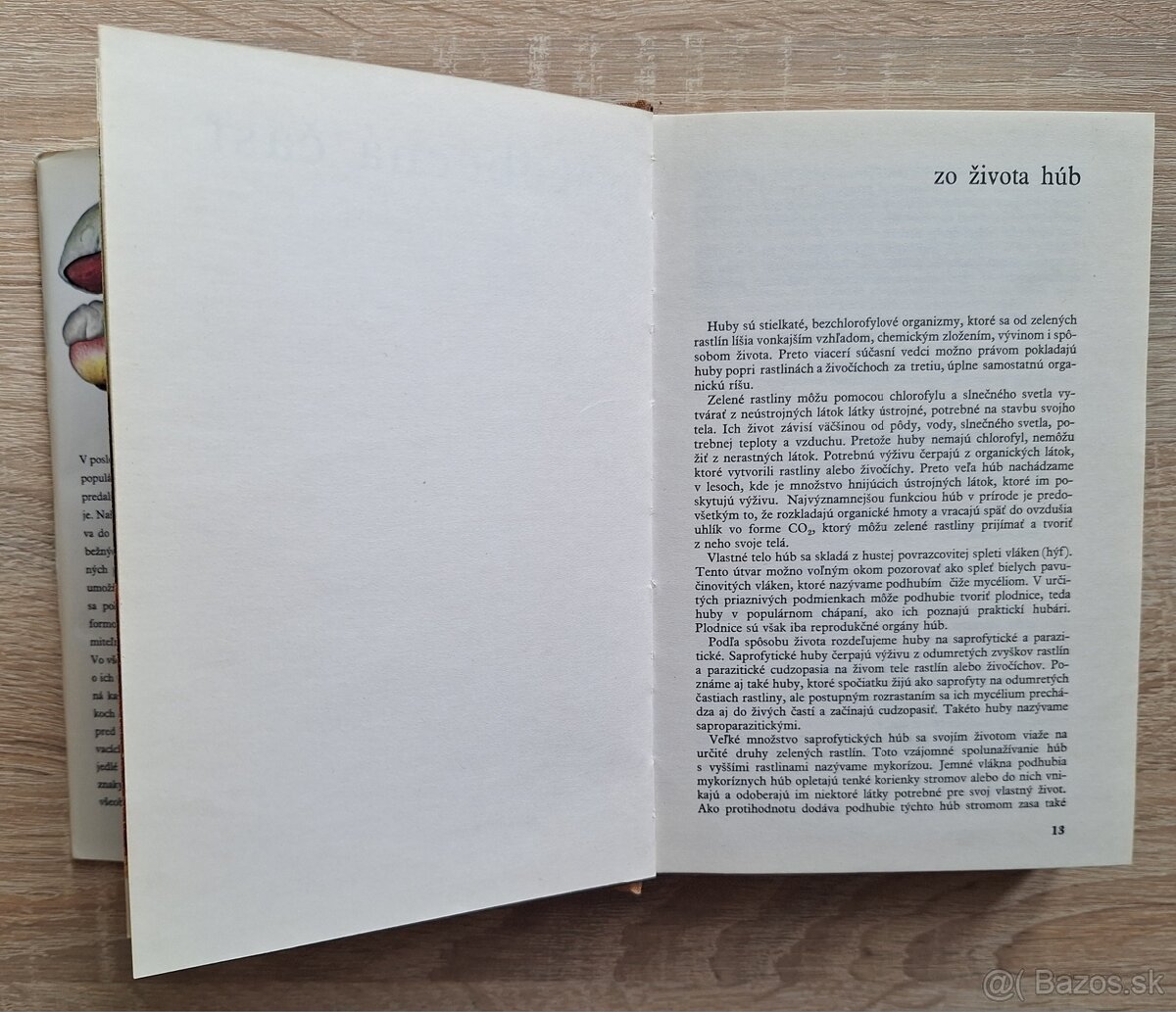 Huby lesov, poli a luk - 3