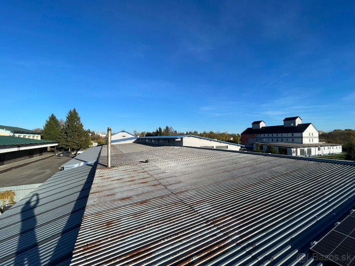 Natieranie maľovanie renovácia strechy - 3