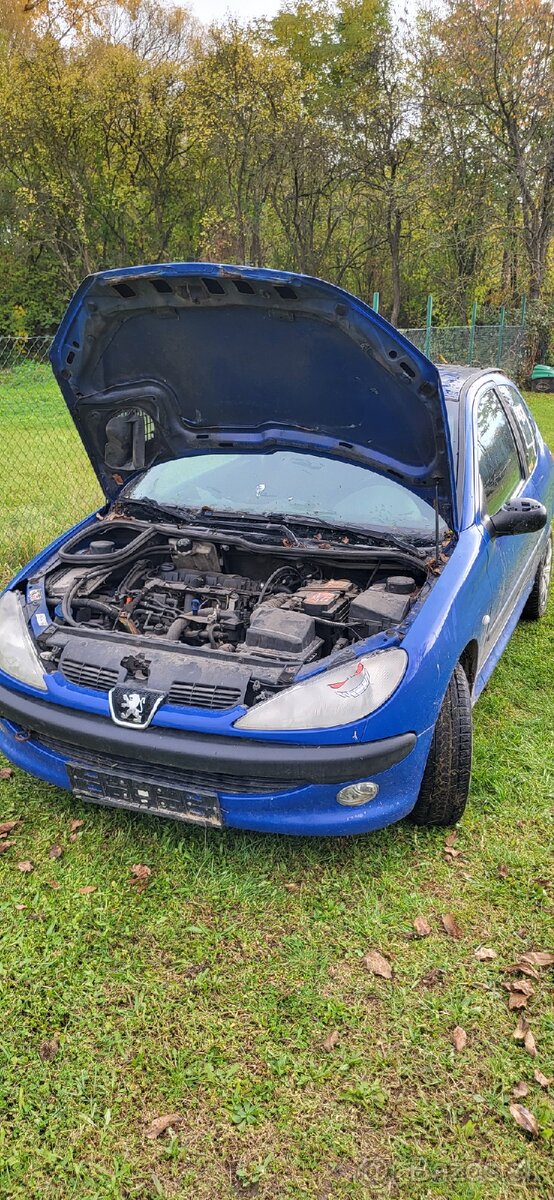 Peugeot 206 2.0 HDI - 3
