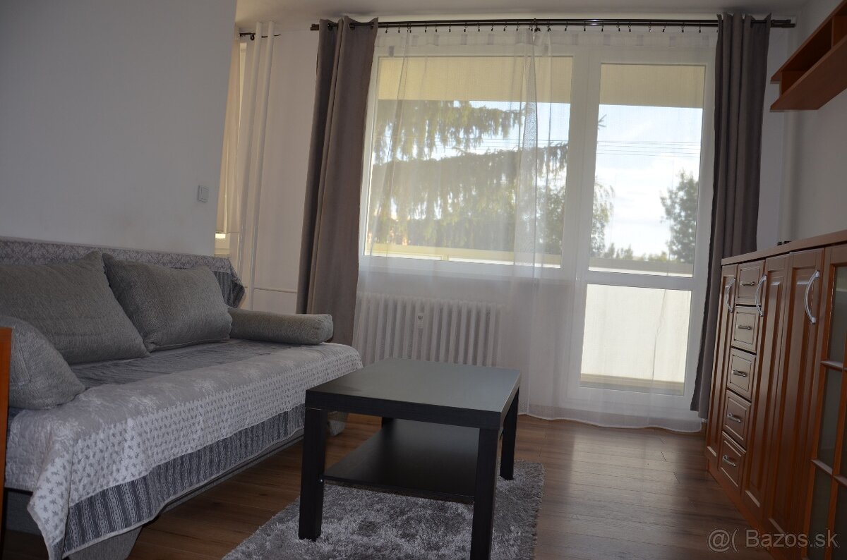 Prenájom 1 izbového bytu - 3