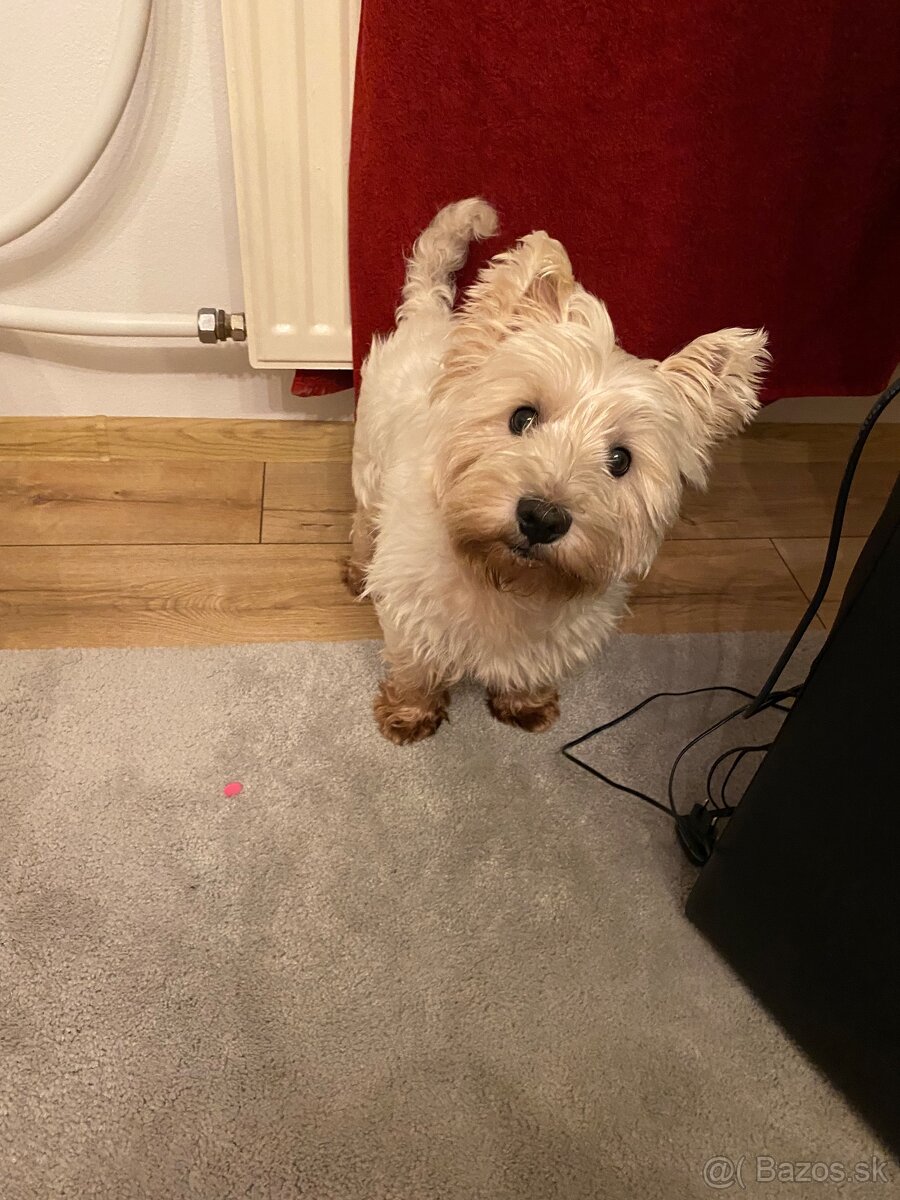 Westik na krytie - 3