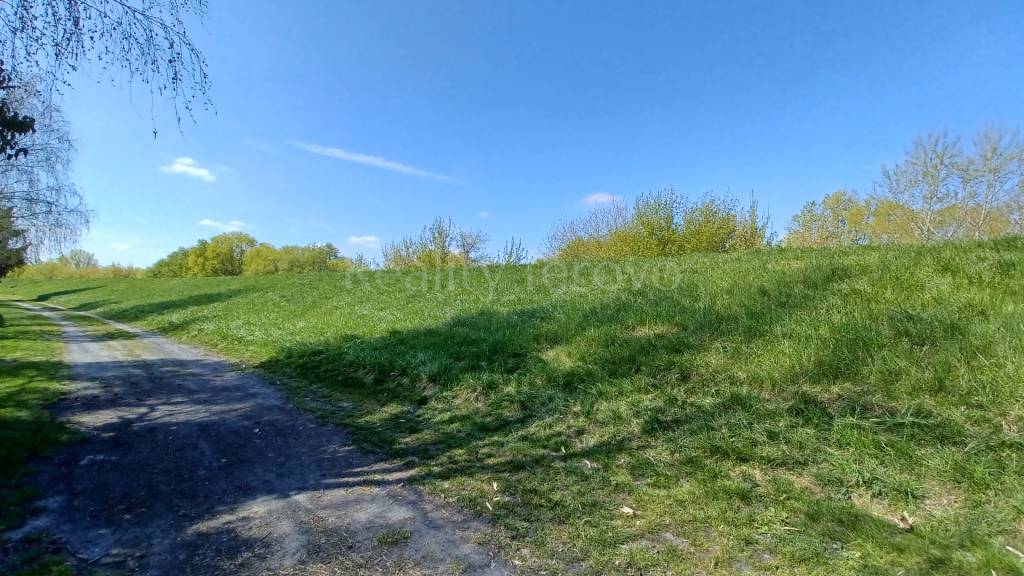 Záhrada s chatkou Úľany nad Žitavou - 3