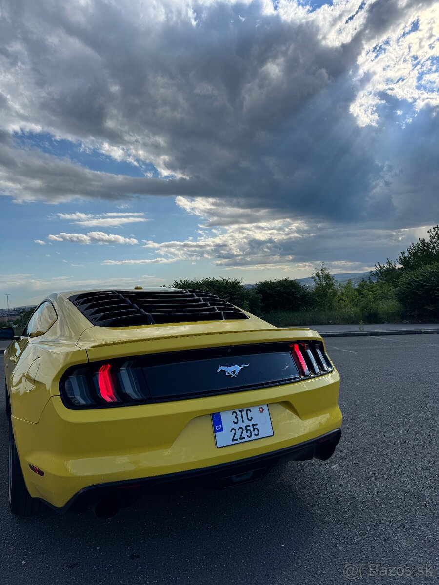 Mustang - 3
