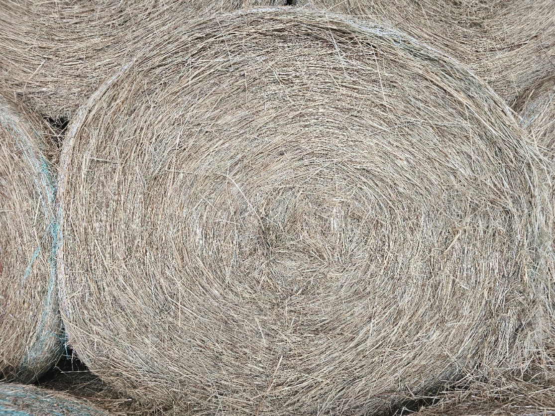 Balikované seno - 3