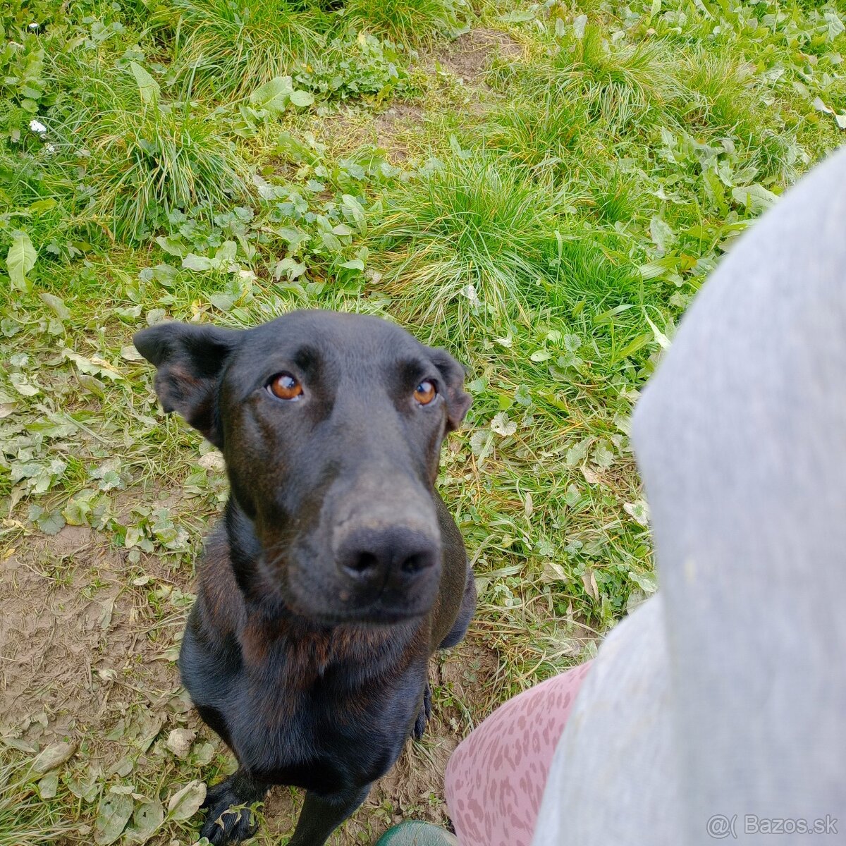 Darujeme steniatka - 3