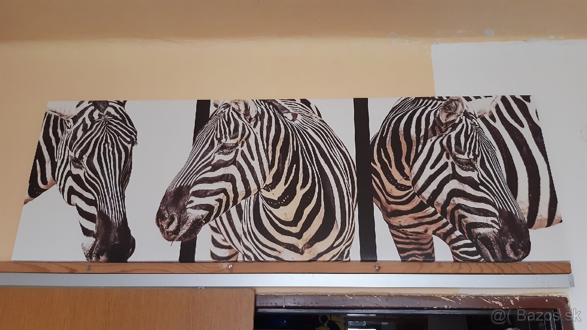 Obraz dekoracia na stenu - 3