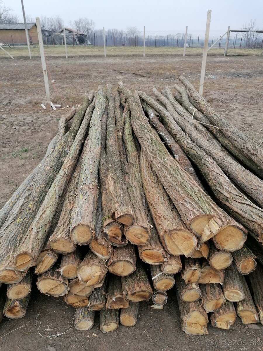 Agátové koly, stĺpy. - 3