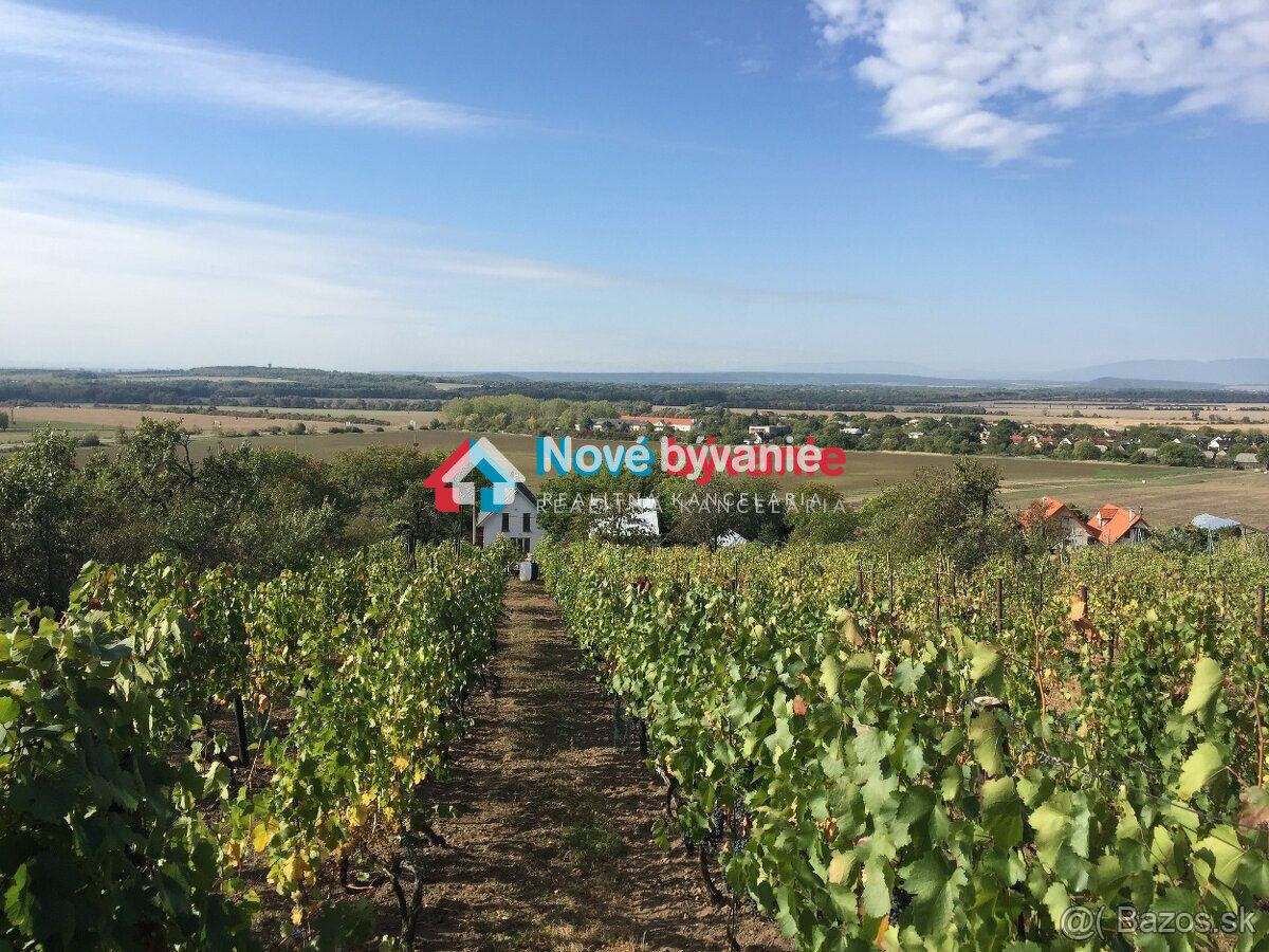 Znížená cena Na Predaj - chata v obci Vinné - 3