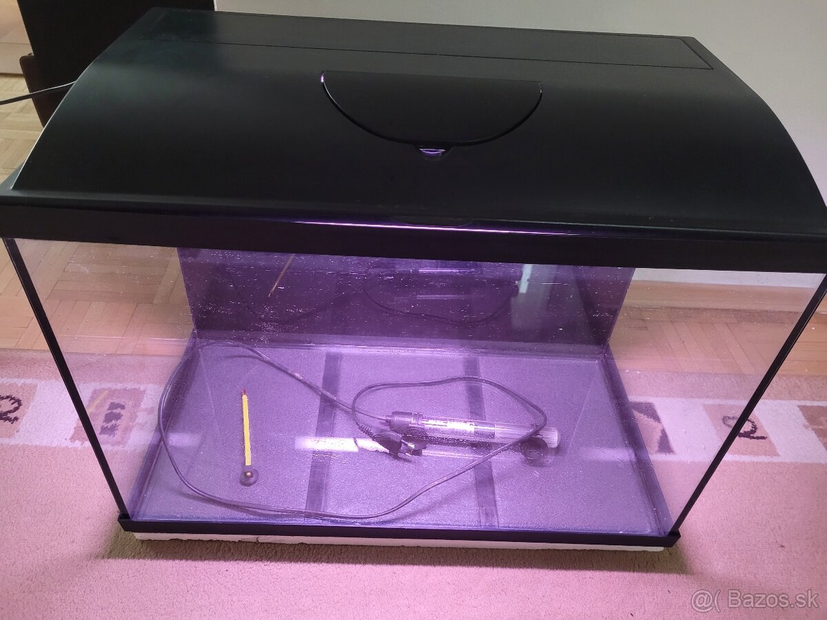 Skaláre a akvárium - 3