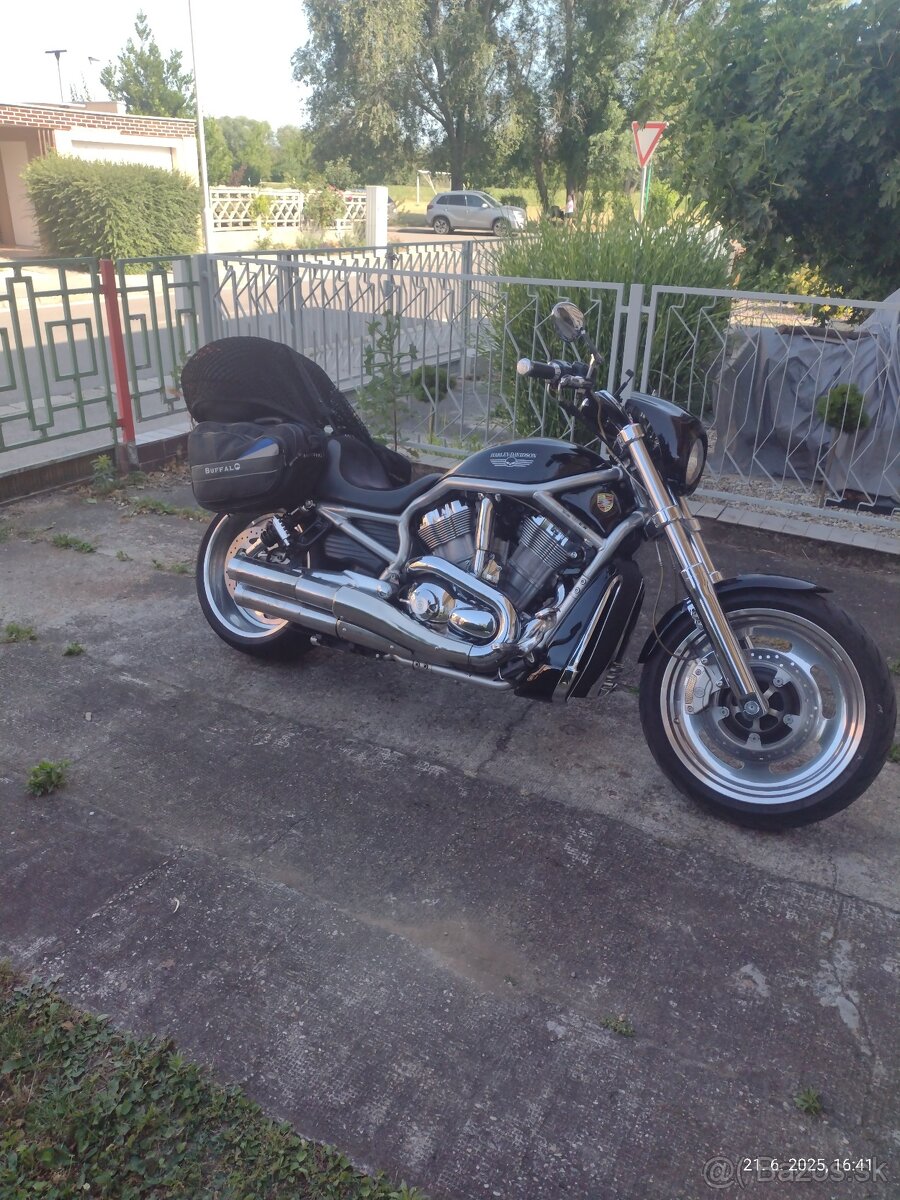 Harley Davidson V-rod 1130 VRSCAW - 3