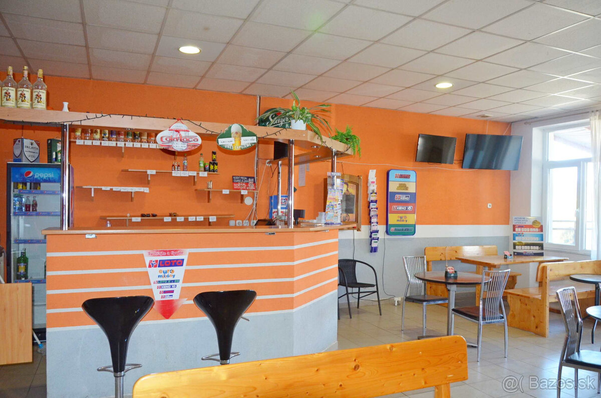 NA PRENÁJOM - PIZZERIA / CAFFE BAR - Tekovské Nemce - 3