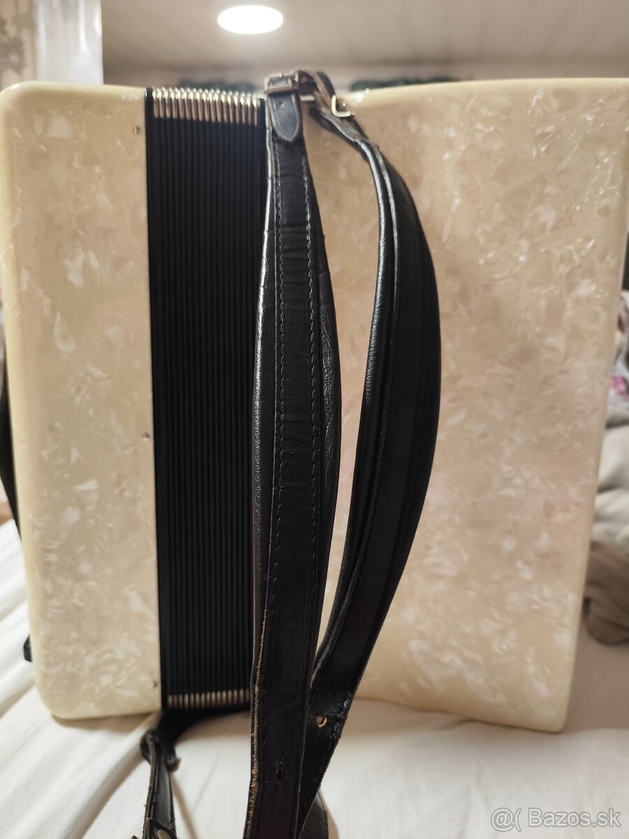 Harmonika delicia carnen - 3