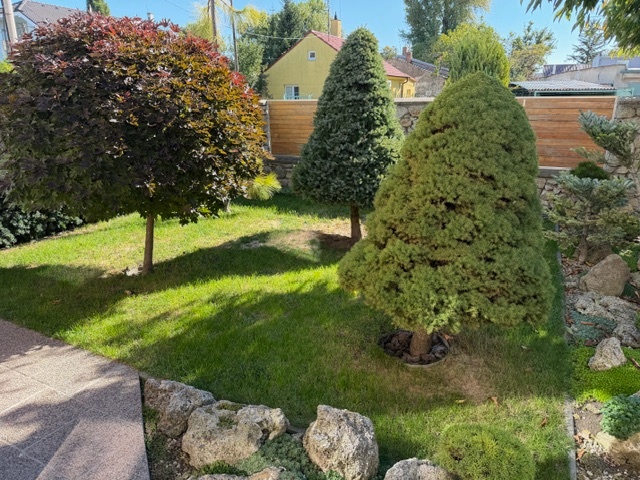 Dvojgeneračný rodinný dom KAMENÁRSKA ul. - 3