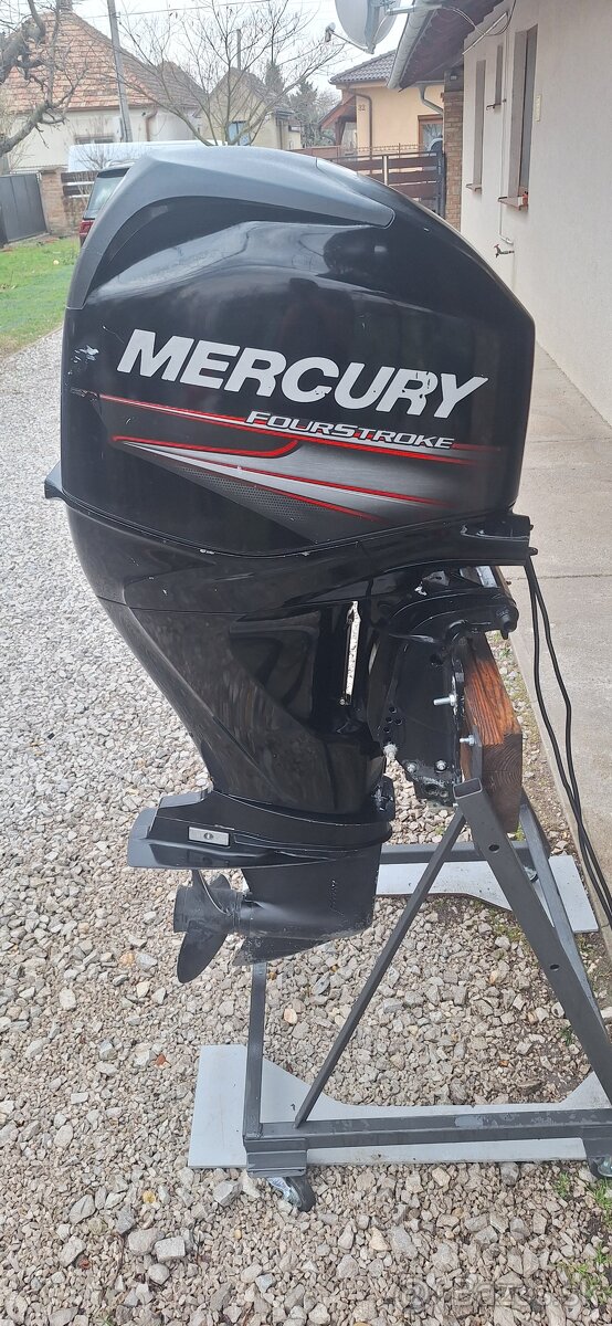 Mercury 40 efi - 3