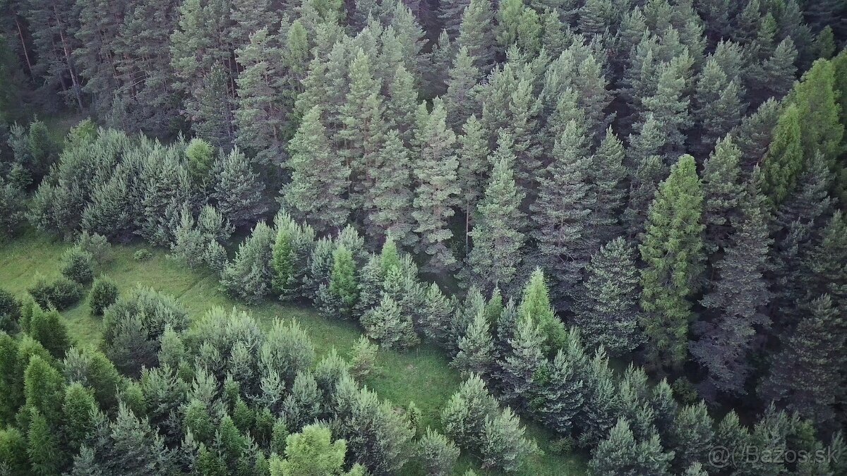 Pozemok na súkromí s výhľadom na lesy - 3