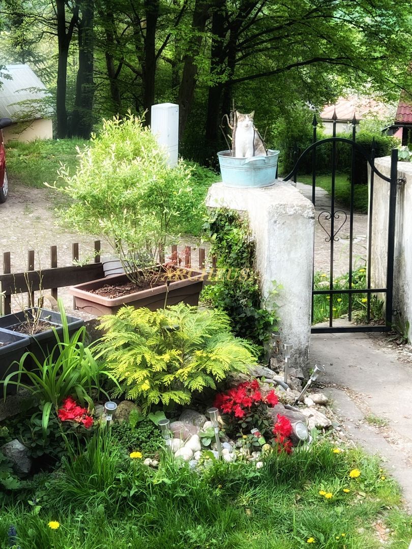 NA PREDAJ CELOROČNE OBÝVATEĽNÁ CHALUPA - 3