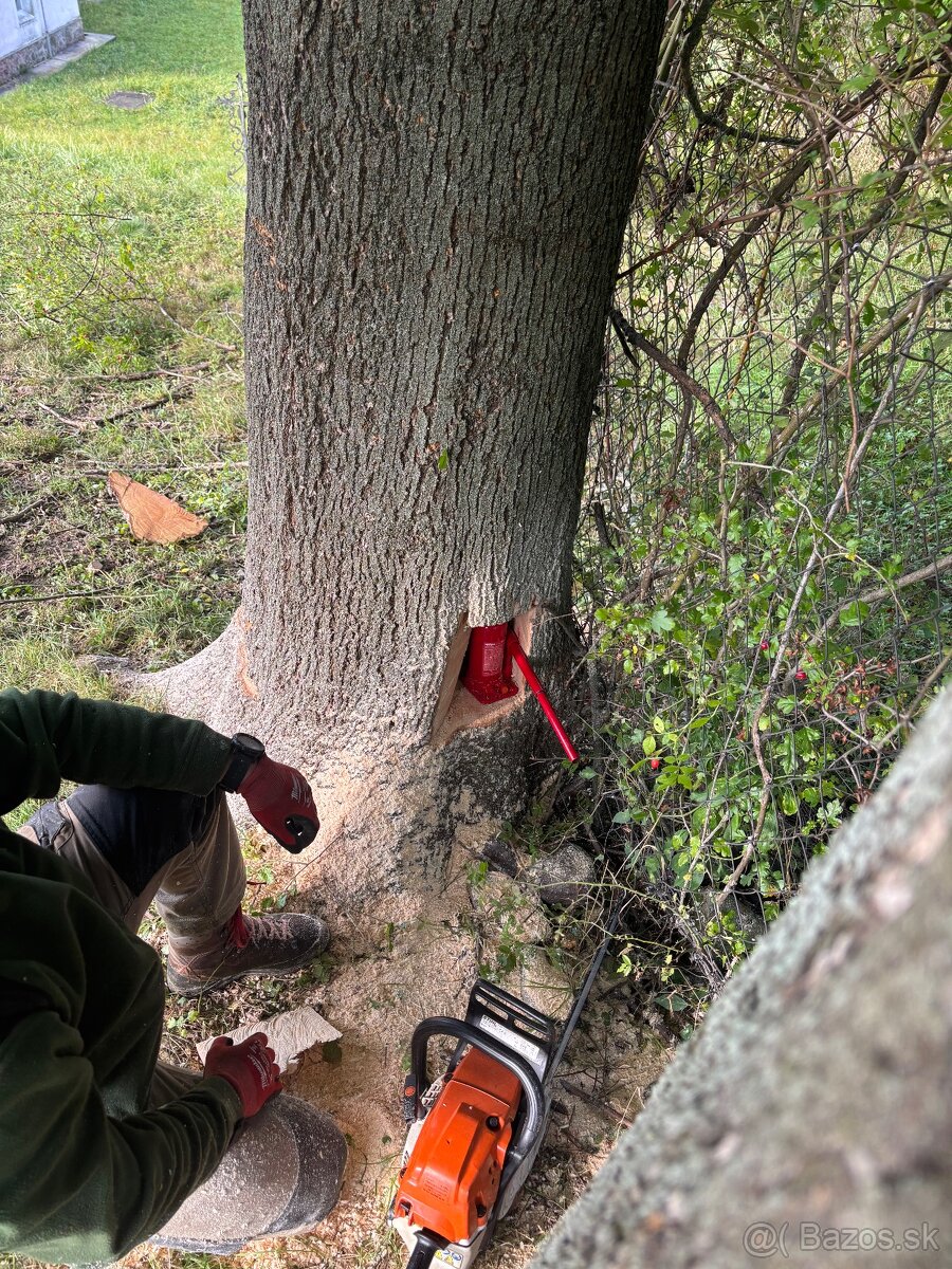 Výrub , opilovanie stromov - 3