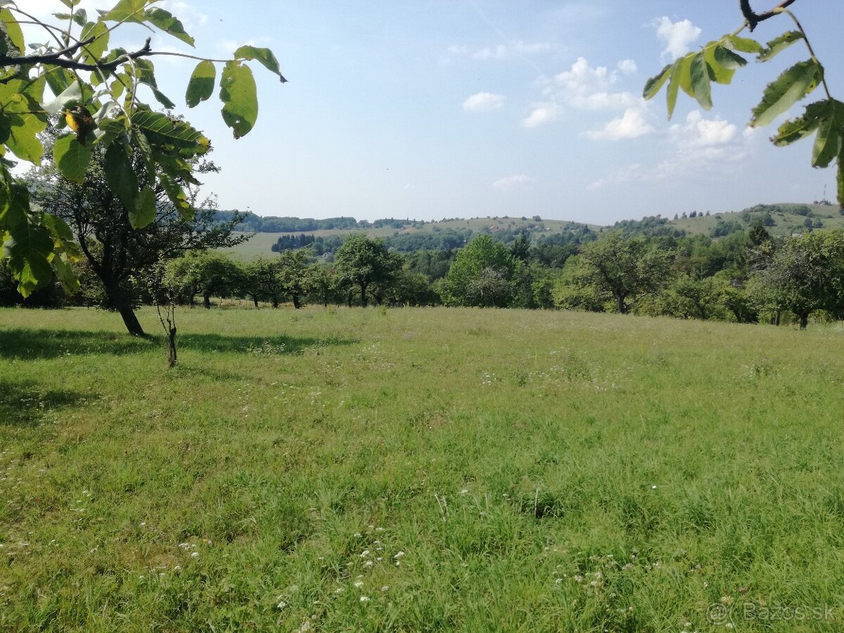 Pozemok - trvalý trávnatý porast - 3