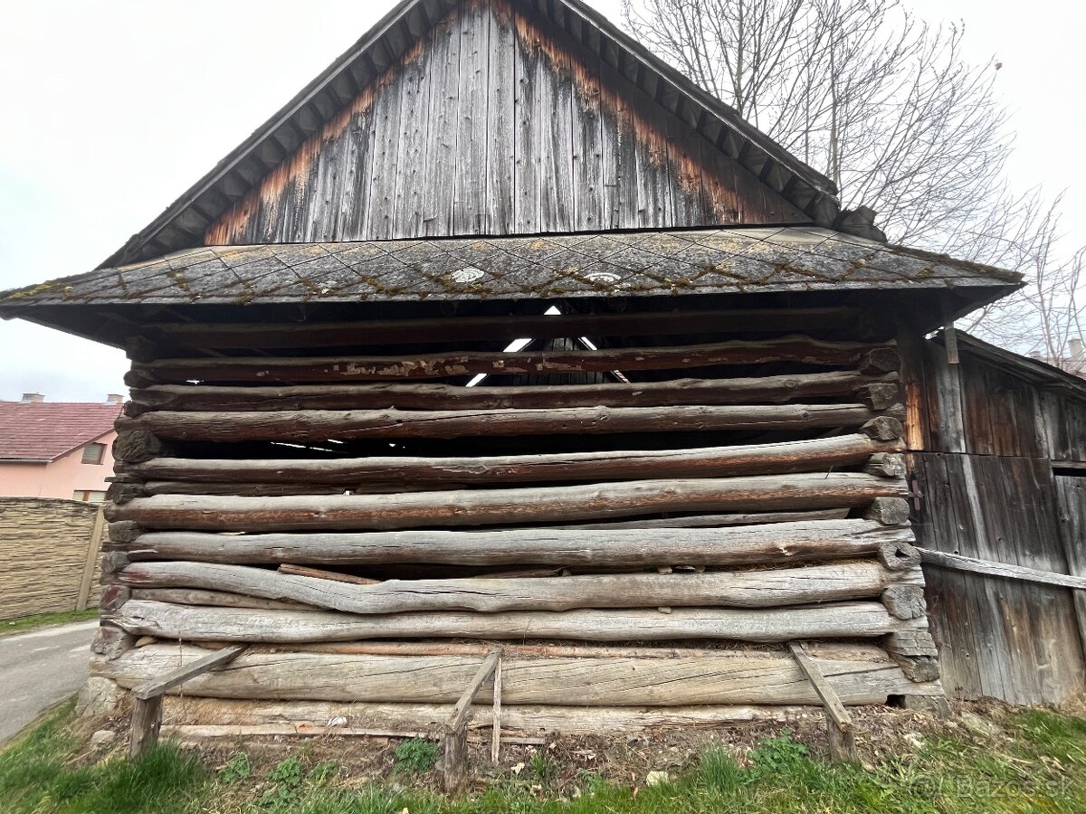 Stare drevo na predaj - 3