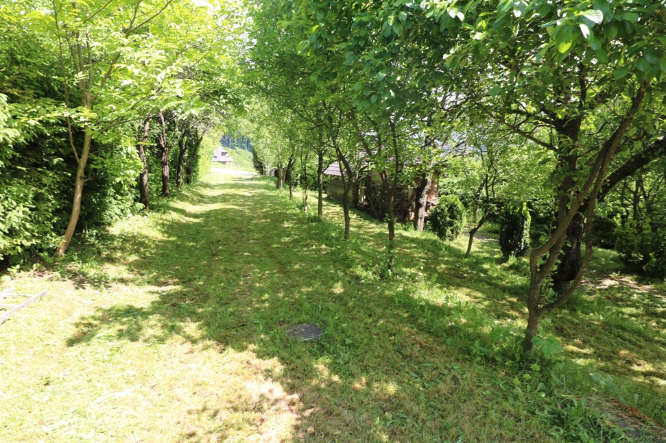 Predaj chaty s veľkým pozemkom 1348 m2 Belá - Zlieň - 3