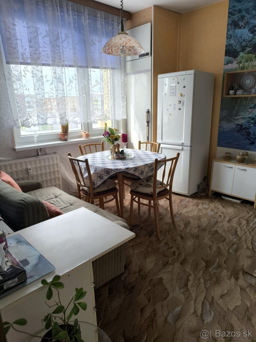 Jednoizbový byt v Leviciach - 3