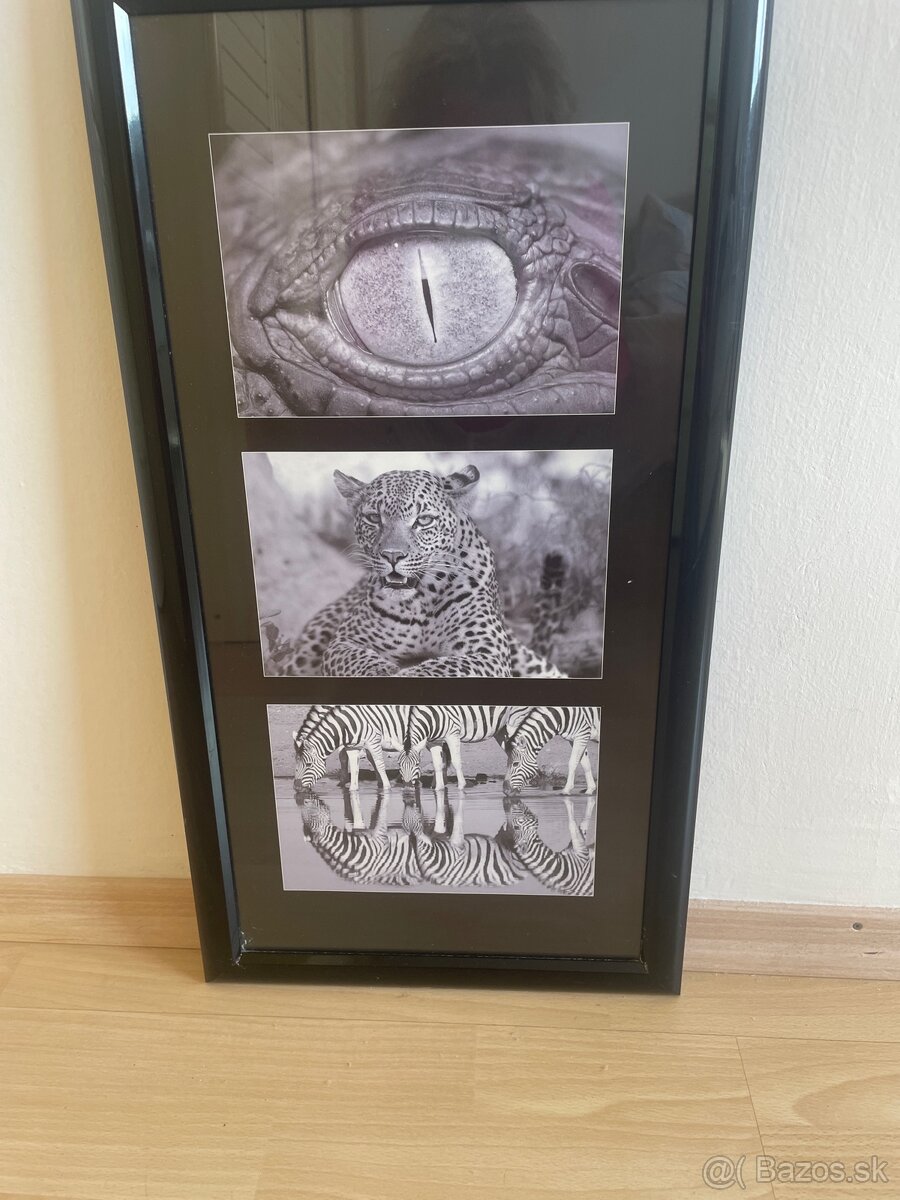 Moderný obraz v čiernom ráme - 3