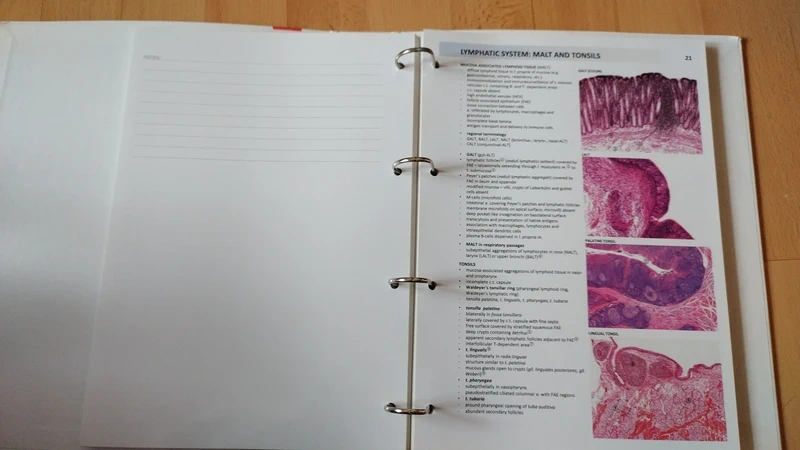 Atlas histologie - 3
