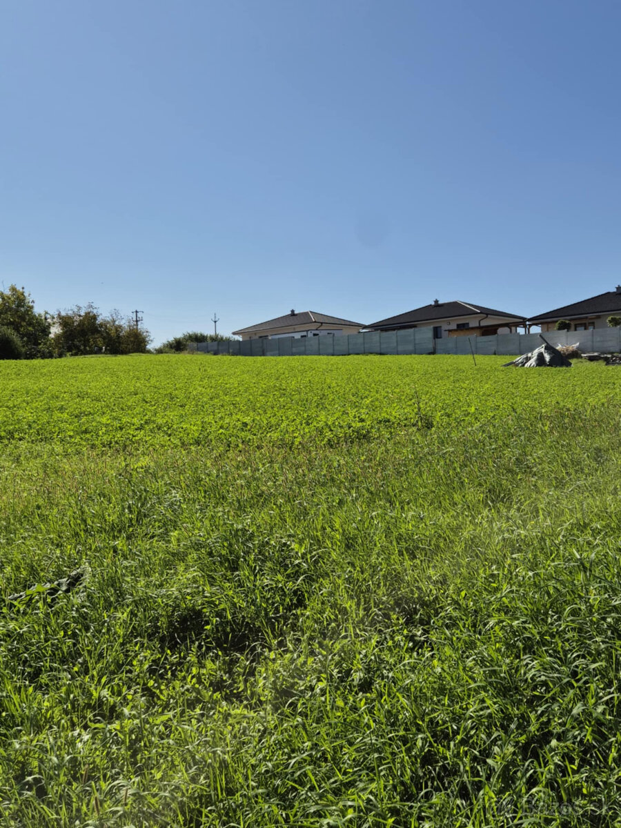 Exkluzívne predaj krásny 685 m2 pozemk Alekšince pri Nitre - 3