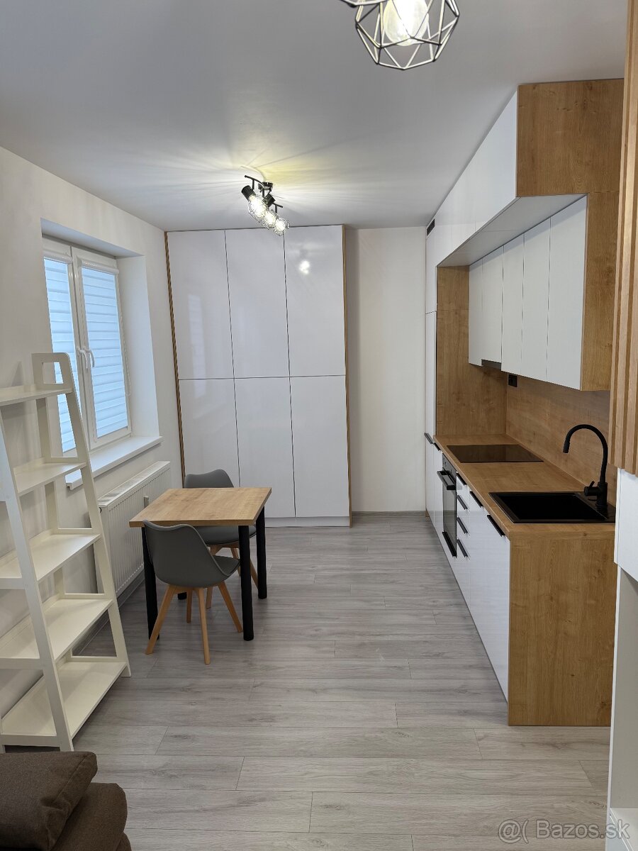 Prenájom 1izbový byt - 3