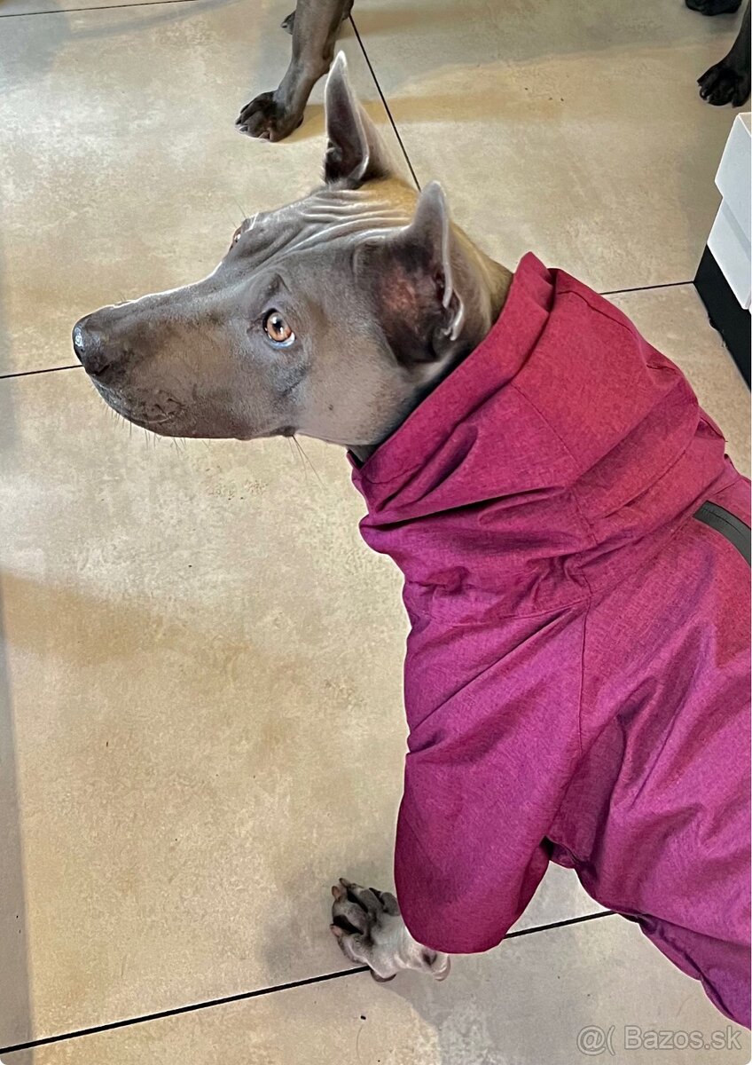 Psí overal – dažďovka 3XL - 3