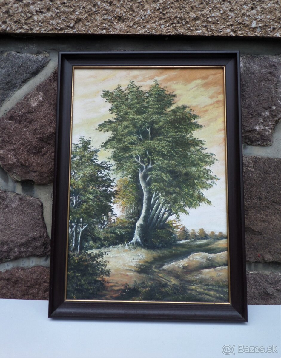 Príroda v obrazoch - 3