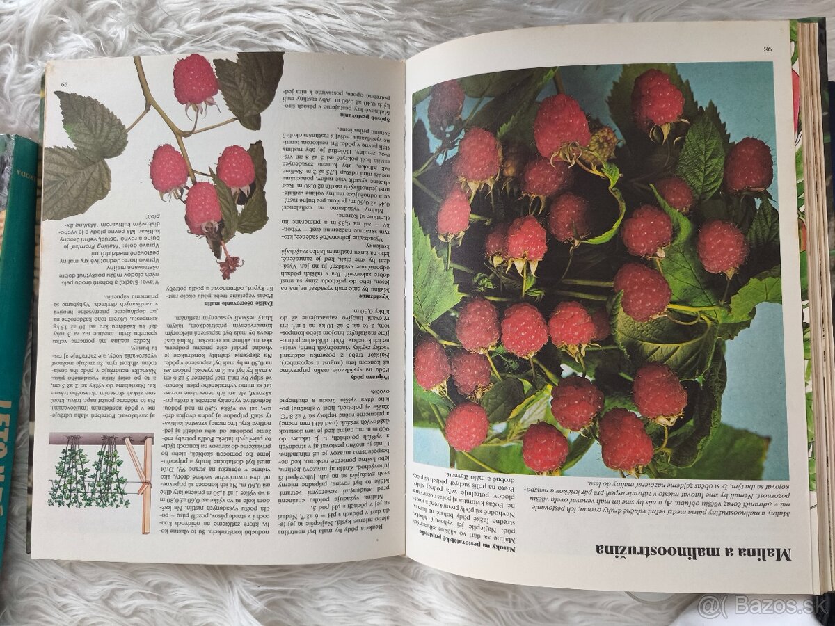 Sada kníh Jar, leto,jeseň, zima v záhrade - 3