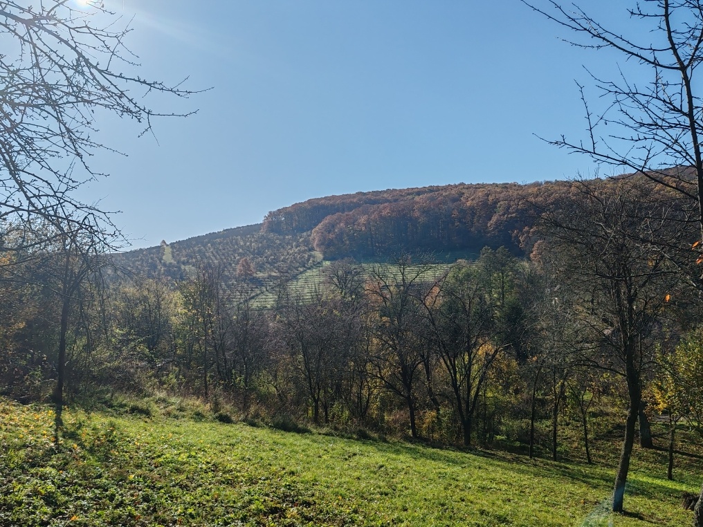 Na predaj pozemok v Podkylave - 3