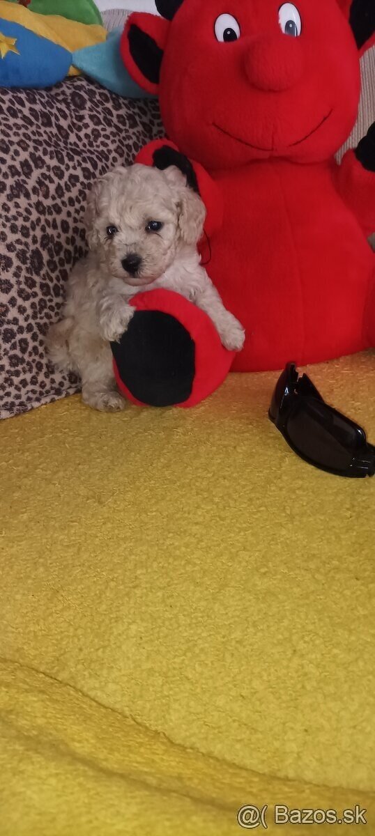 Pudel pudlík pudl - 3