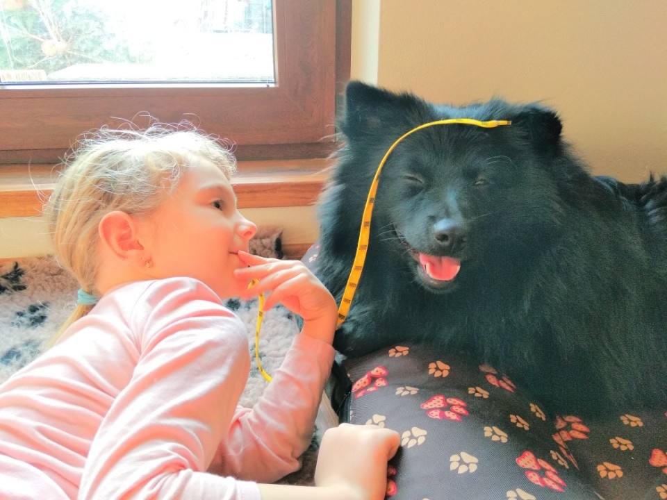 Veľký špic - čierny s PP - 3