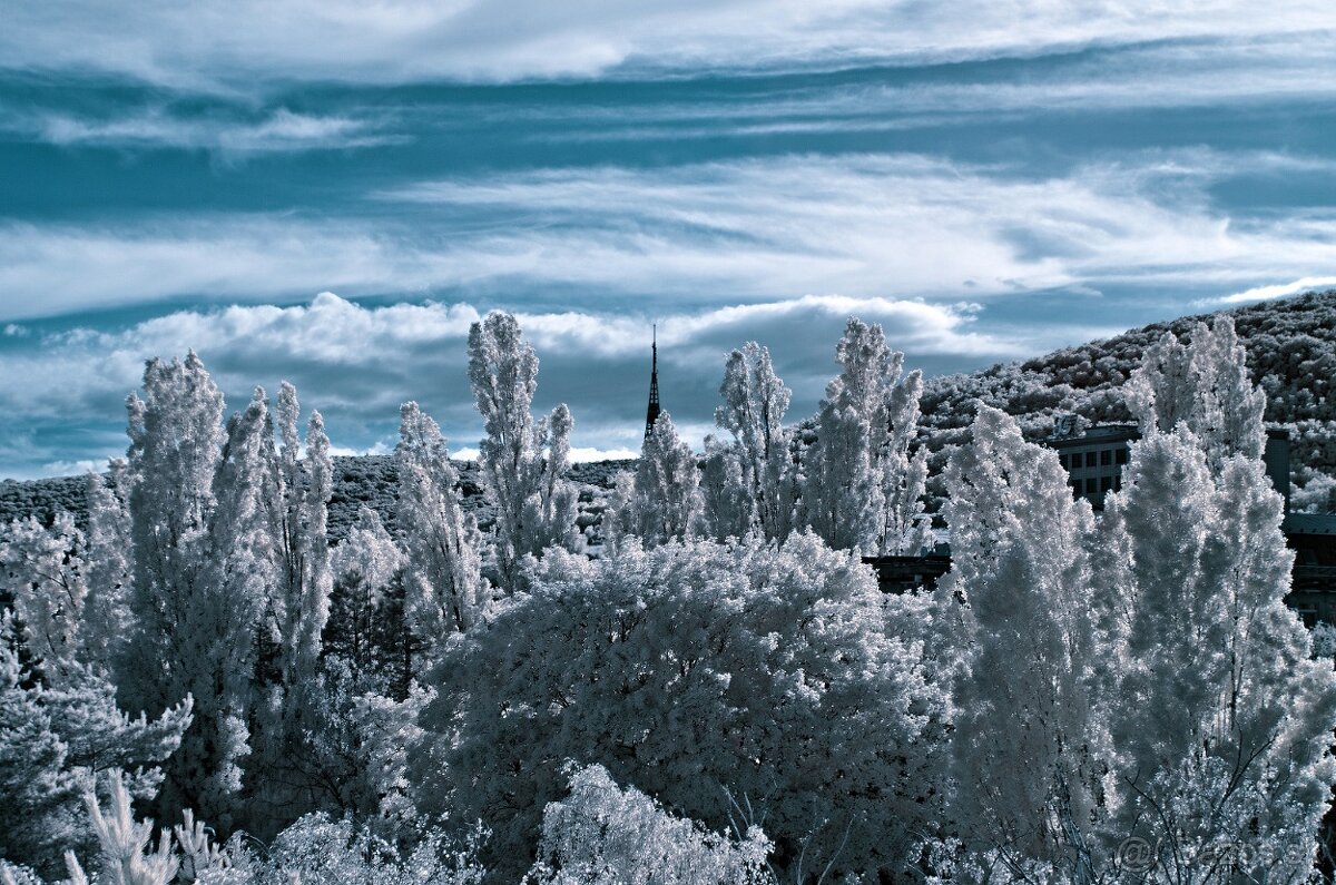 Olympus E-M1 - po IR konverzii 720 nm - 3
