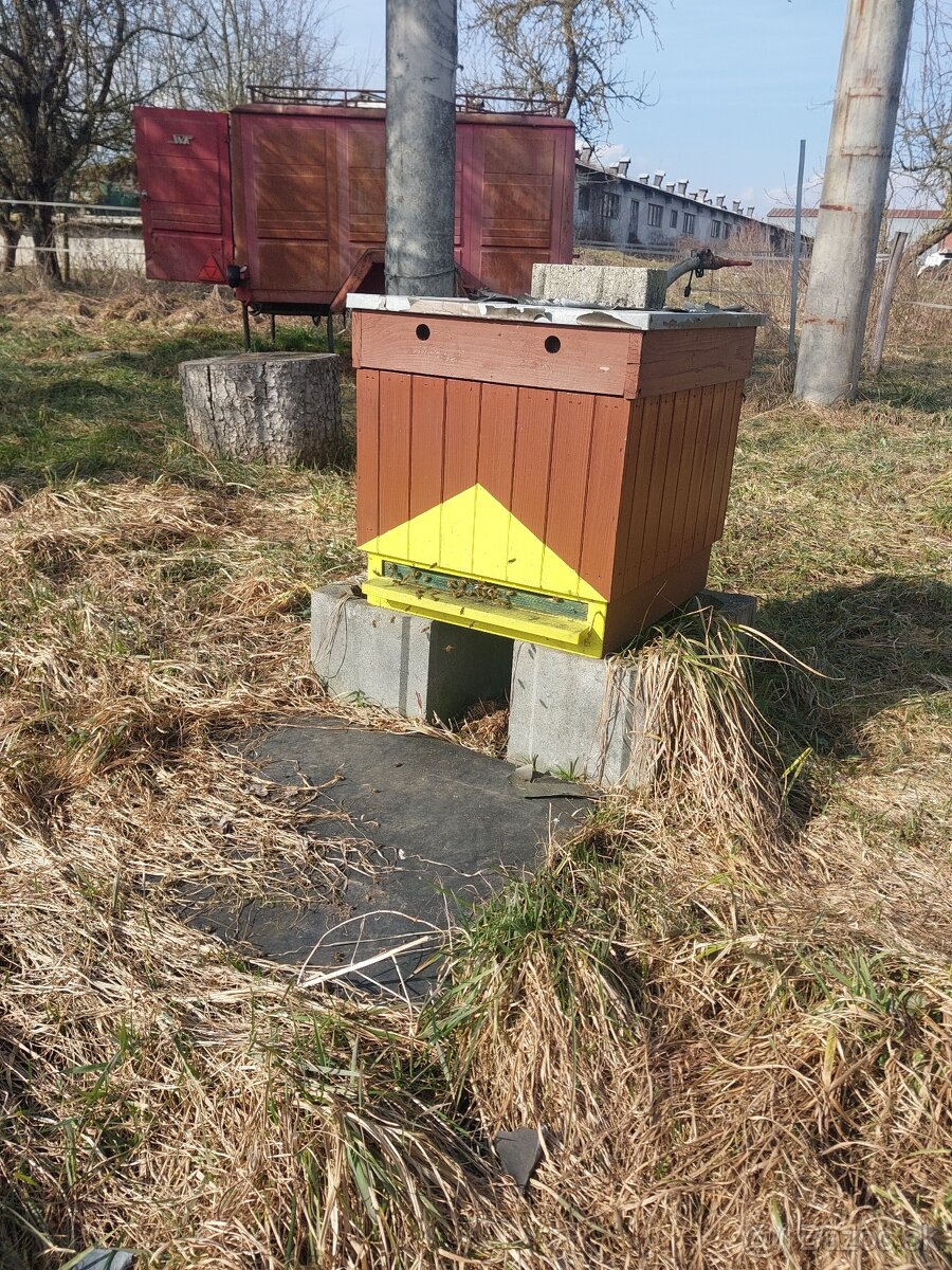 Včely-Predám Včely - 3