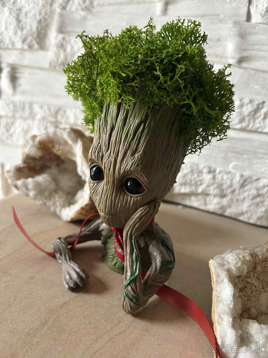 Groot so stabilizovaným machom - 3