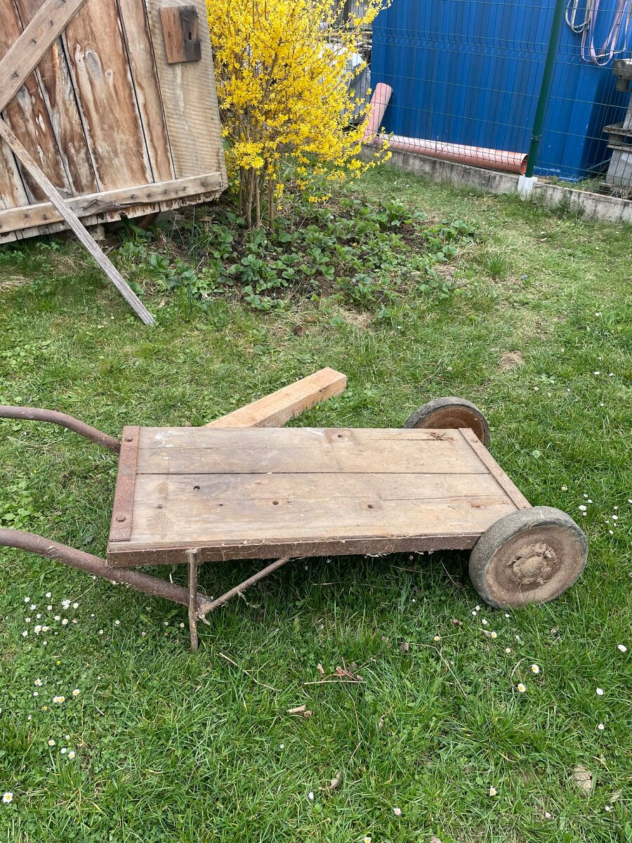 tragač? - 3