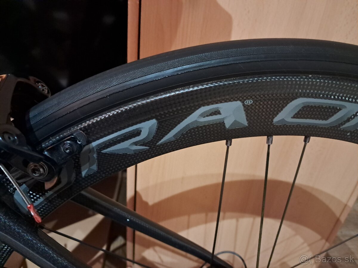 Cipollini bond 2 - 3