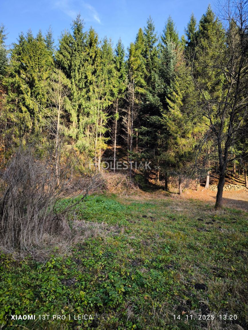 Predám pekný pozemok na chatu, Kysuce, iba u nás - 3