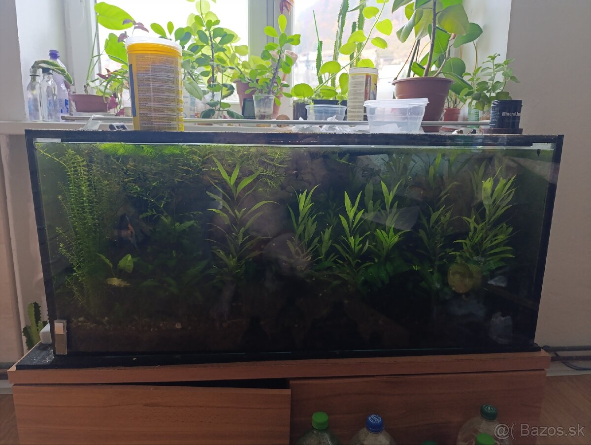 Akvárium + svetlo - 3