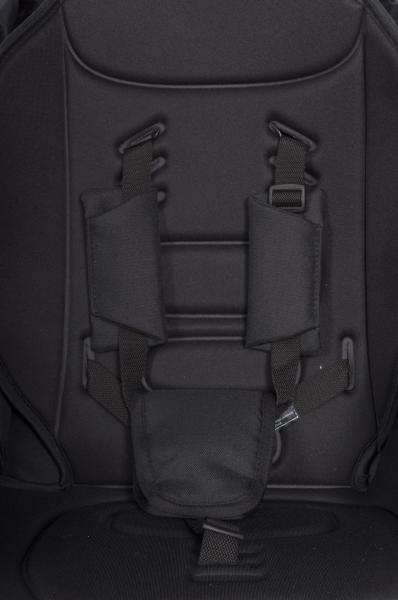 Kociar Rico Nuno - 3