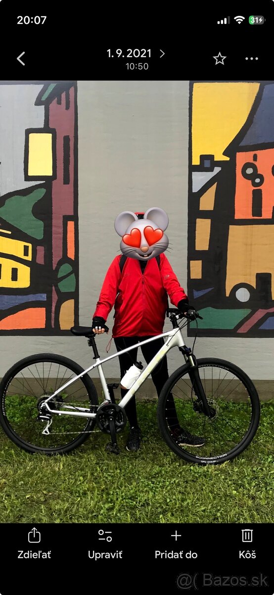 TREK Dual Sport 2 - 3