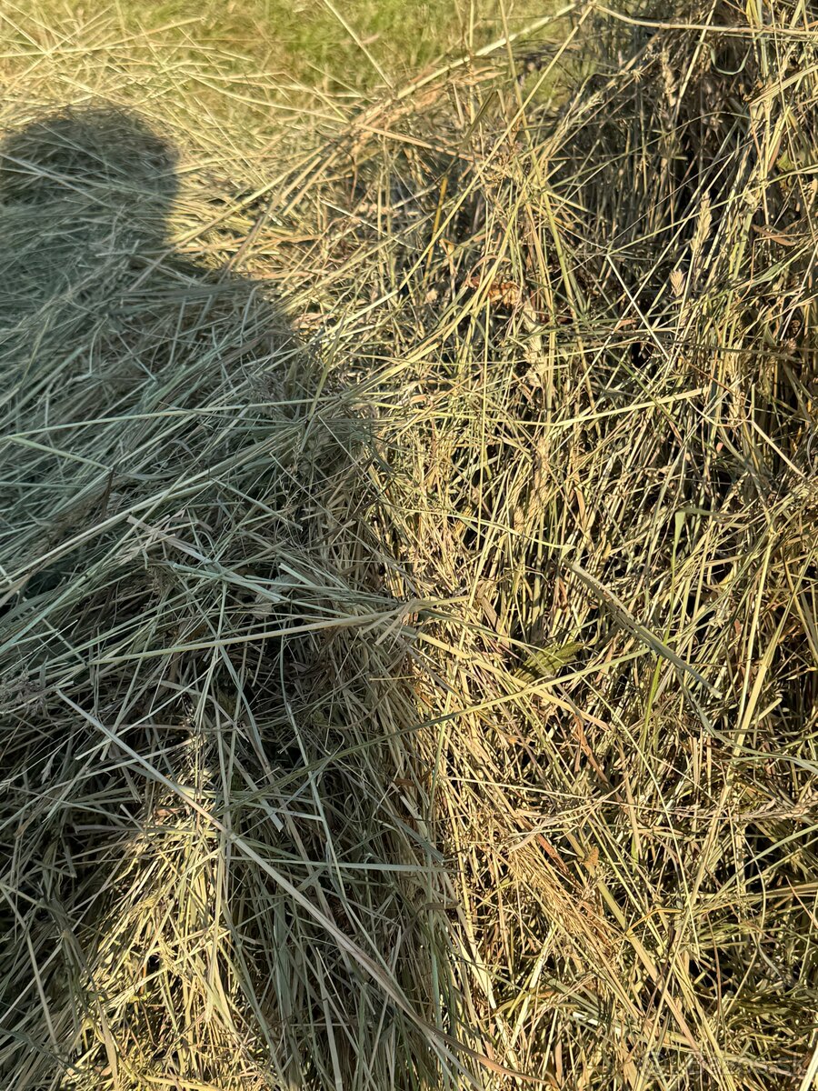 Balíkované seno - 3