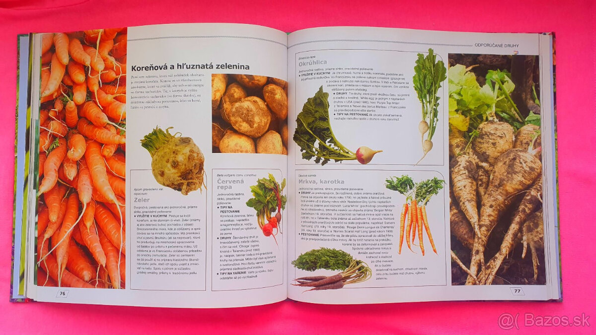 Labužníkova záhrada. - 3