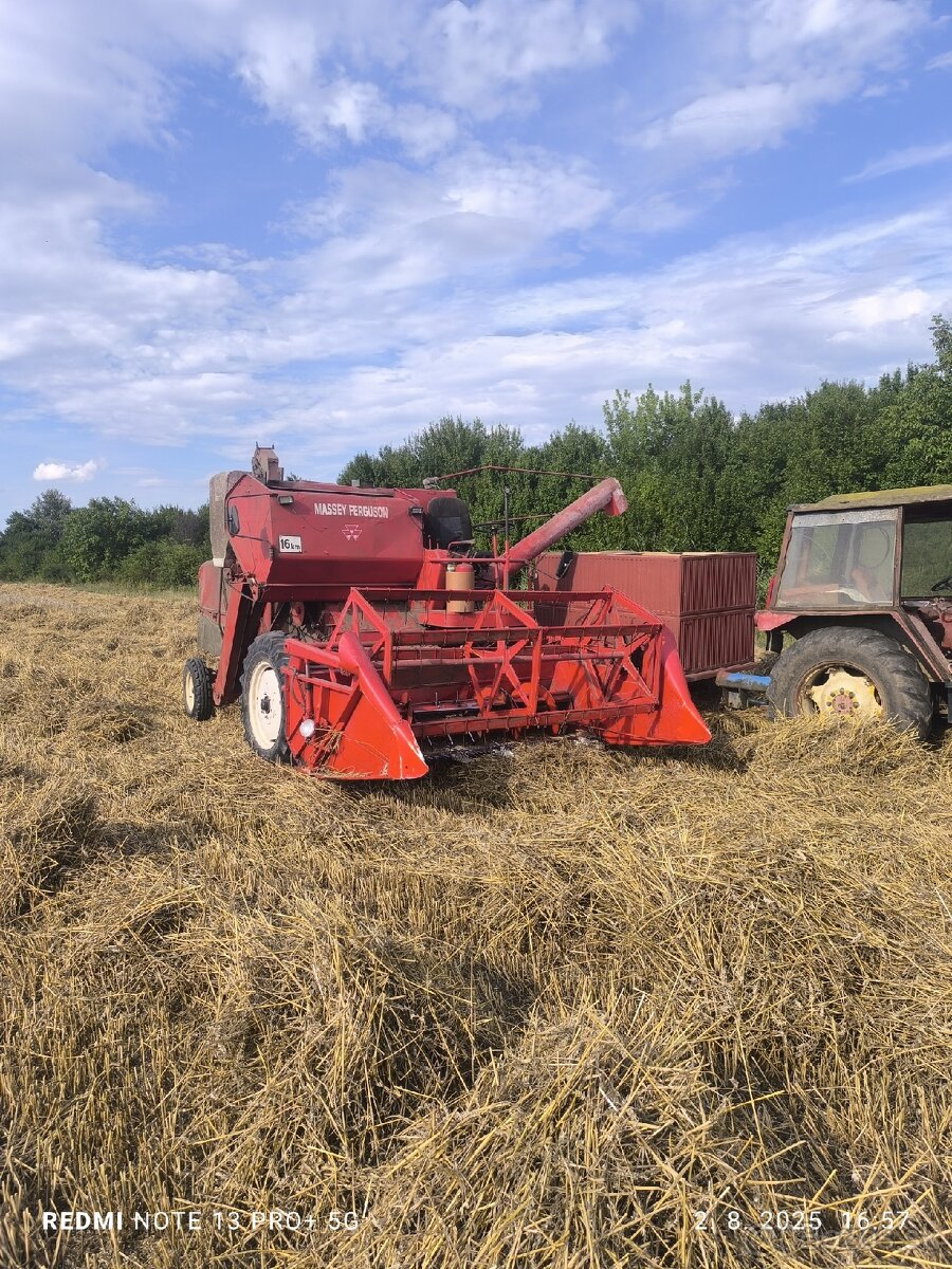 Predam massey ferguson 685s - 3