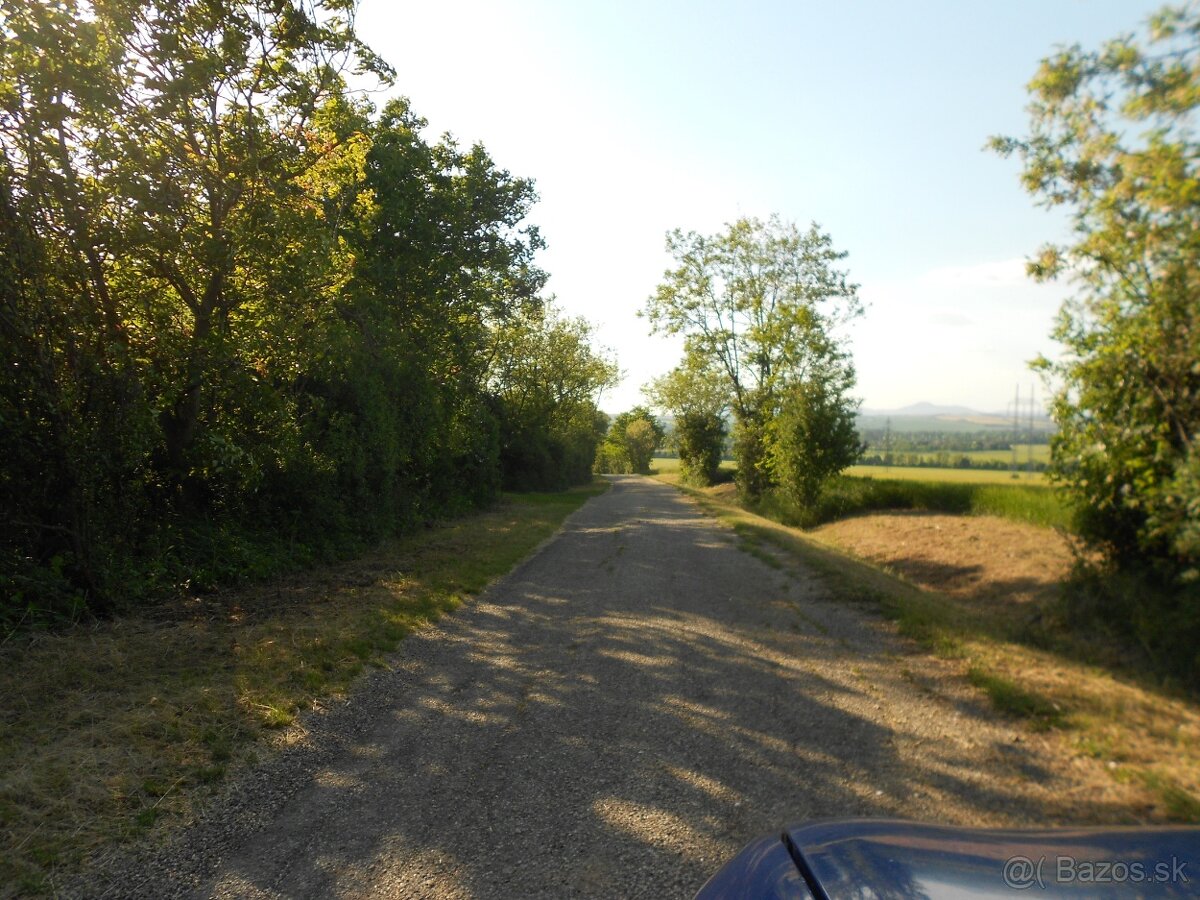 predam 4 pozemky a VinDomček s pozemkom, Vráble ,Žitavce - 3